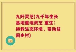 九阡灵芝(九千年生长基地重埋灵芝 重生：拯救生态环境，带动贫困乡村)