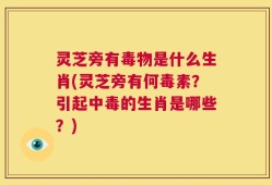 灵芝旁有毒物是什么生肖(灵芝旁有何毒素？引起中毒的生肖是哪些？)