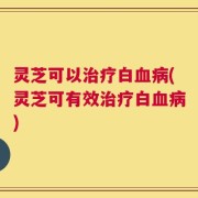灵芝可以治疗白血病(灵芝可有效治疗白血病)