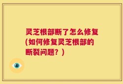 灵芝根部断了怎么修复(如何修复灵芝根部的断裂问题？)
