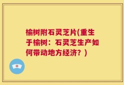 榆树附石灵芝片(重生于榆树：石灵芝生产如何带动地方经济？)