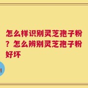 怎么样识别灵芝孢子粉？怎么辨别灵芝孢子粉好坏