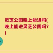 灵芝公园晚上能进吗(晚上能进灵芝公园吗？)