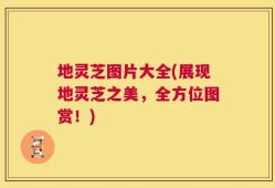 地灵芝图片大全(展现地灵芝之美，全方位图赏！)