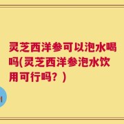 灵芝西洋参可以泡水喝吗(灵芝西洋参泡水饮用可行吗？)