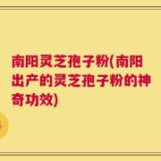南阳灵芝孢子粉(南阳出产的灵芝孢子粉的神奇功效)