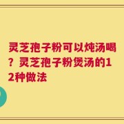 灵芝孢子粉可以炖汤喝？灵芝孢子粉煲汤的12种做法