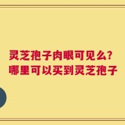 灵芝孢子肉眼可见么？哪里可以买到灵芝孢子