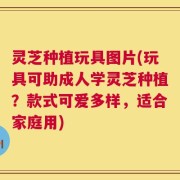 灵芝种植玩具图片(玩具可助成人学灵芝种植？款式可爱多样，适合家庭用)