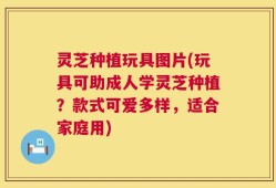 灵芝种植玩具图片(玩具可助成人学灵芝种植？款式可爱多样，适合家庭用)