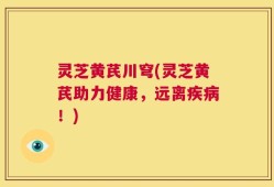 灵芝黄芪川穹(灵芝黄芪助力健康，远离疾病！)