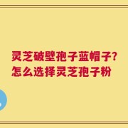 灵芝破壁孢子蓝帽子？怎么选择灵芝孢子粉