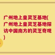 广州地上皇灵芝基地(广州地上皇灵芝基地探访中国南方的灵芝奇观)