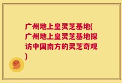 广州地上皇灵芝基地(广州地上皇灵芝基地探访中国南方的灵芝奇观)