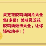 灵芝花胶鸡汤图片大全集(多图！美味灵芝花胶鸡汤做法大全，让你轻松动手！)