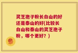 灵芝孢子粉长白山的好还是泰山的好(比较长白山和泰山的灵芝孢子粉，哪个更好？)