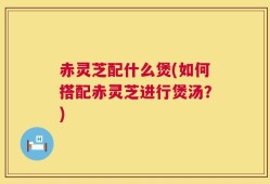 赤灵芝配什么煲(如何搭配赤灵芝进行煲汤？)