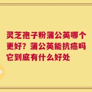 灵芝孢子粉蒲公英哪个更好？蒲公英能抗癌吗它到底有什么好处