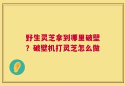野生灵芝拿到哪里破壁？破壁机打灵芝怎么做