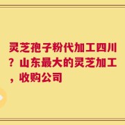 灵芝孢子粉代加工四川？山东最大的灵芝加工，收购公司