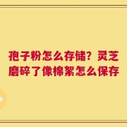 孢子粉怎么存储？灵芝磨碎了像棉絮怎么保存