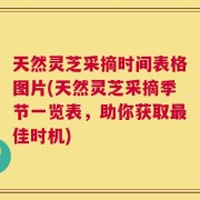 天然灵芝采摘时间表格图片(天然灵芝采摘季节一览表，助你获取最佳时机)