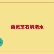 菌灵芝石斛泡水