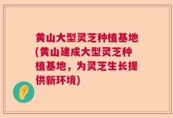 黄山大型灵芝种植基地(黄山建成大型灵芝种植基地，为灵芝生长提供新环境)