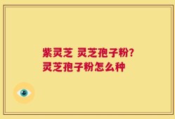 紫灵芝 灵芝孢子粉？灵芝孢子粉怎么种