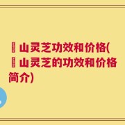 矷山灵芝功效和价格(矷山灵芝的功效和价格简介)
