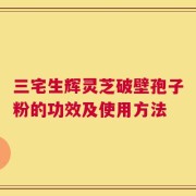 三宅生辉灵芝破壁孢子粉的功效及使用方法