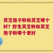 灵芝孢子粉和灵芝哪个好？野生灵芝粉和灵芝孢子粉哪个更好
