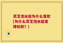 灵芝泡水后为什么变软(为什么灵芝泡水后变得松软？)