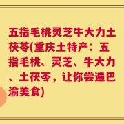 五指毛桃灵芝牛大力土茯苓(重庆土特产：五指毛桃、灵芝、牛大力、土茯苓，让你尝遍巴渝美食)