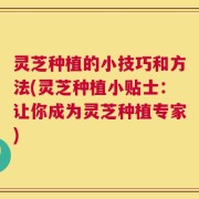 灵芝种植的小技巧和方法(灵芝种植小贴士：让你成为灵芝种植专家)