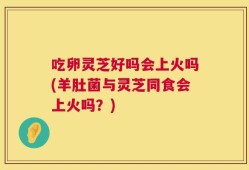 吃卵灵芝好吗会上火吗(羊肚菌与灵芝同食会上火吗？)