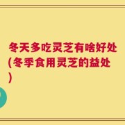 冬天多吃灵芝有啥好处(冬季食用灵芝的益处)