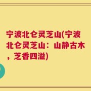 宁波北仑灵芝山(宁波北仑灵芝山：山静古木，芝香四溢)