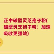 正中破壁灵芝孢子粉(破壁灵芝孢子粉：加速吸收更强效)