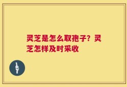 灵芝是怎么取孢子？灵芝怎样及时采收