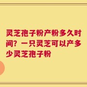 灵芝孢子粉产粉多久时间？一只灵芝可以产多少灵芝孢子粉