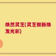 焕然灵芝(灵芝崭新焕发光彩)