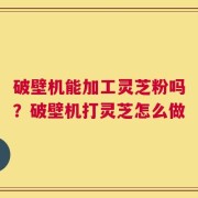 破壁机能加工灵芝粉吗？破壁机打灵芝怎么做