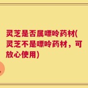 灵芝是否属嘌呤药材(灵芝不是嘌呤药材，可放心使用)