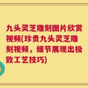 九头灵芝雕刻图片欣赏视频(珍贵九头灵芝雕刻视频，细节展现出极致工艺技巧)
