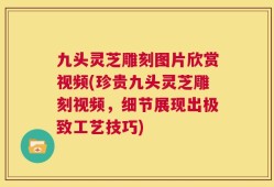 九头灵芝雕刻图片欣赏视频(珍贵九头灵芝雕刻视频，细节展现出极致工艺技巧)