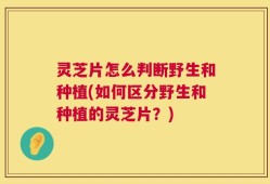 灵芝片怎么判断野生和种植(如何区分野生和种植的灵芝片？)