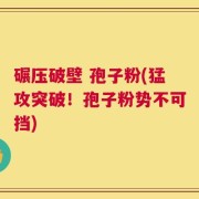 碾压破壁 孢子粉(猛攻突破！孢子粉势不可挡)