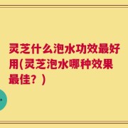 灵芝什么泡水功效最好用(灵芝泡水哪种效果最佳？)