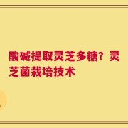 酸碱提取灵芝多糖？灵芝菌栽培技术
